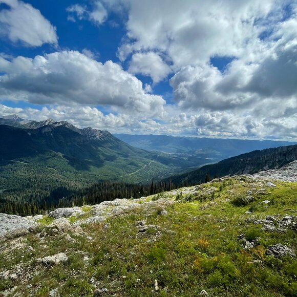 Meet your Posher - Picture 1 of 1